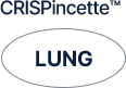 LUNG